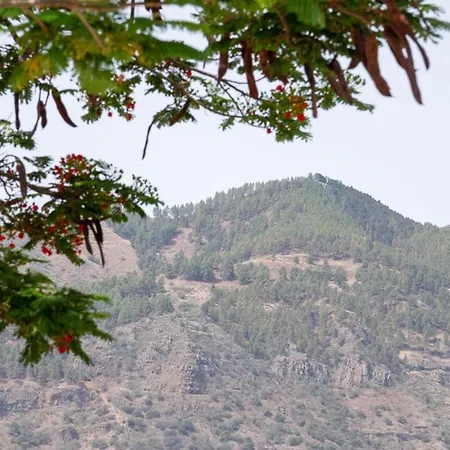 La Canariona, A Charming Alpesi faház *