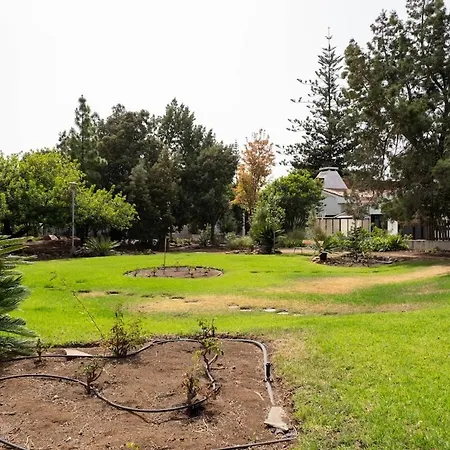 La Canariona, A Charming Valsequillo