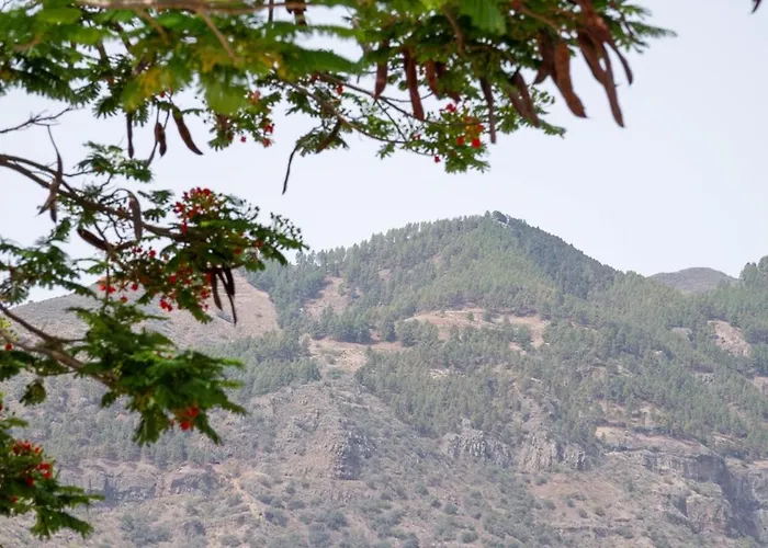 La Canariona, A Charming Chalet *